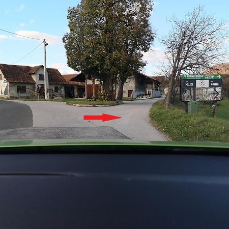 Guesthouse Braslovce - Celje Екстер'єр фото