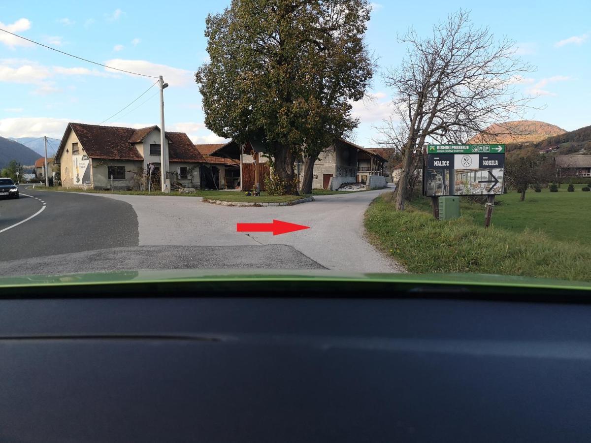 Guesthouse Braslovce - Celje Екстер'єр фото