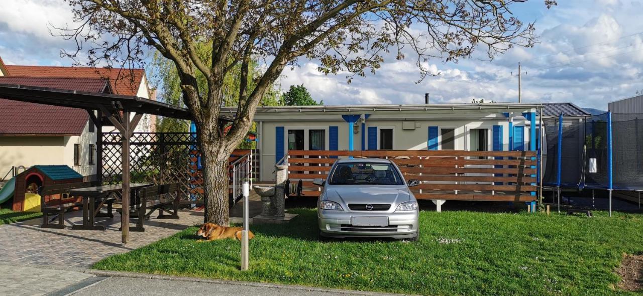 Guesthouse Braslovce - Celje Екстер'єр фото