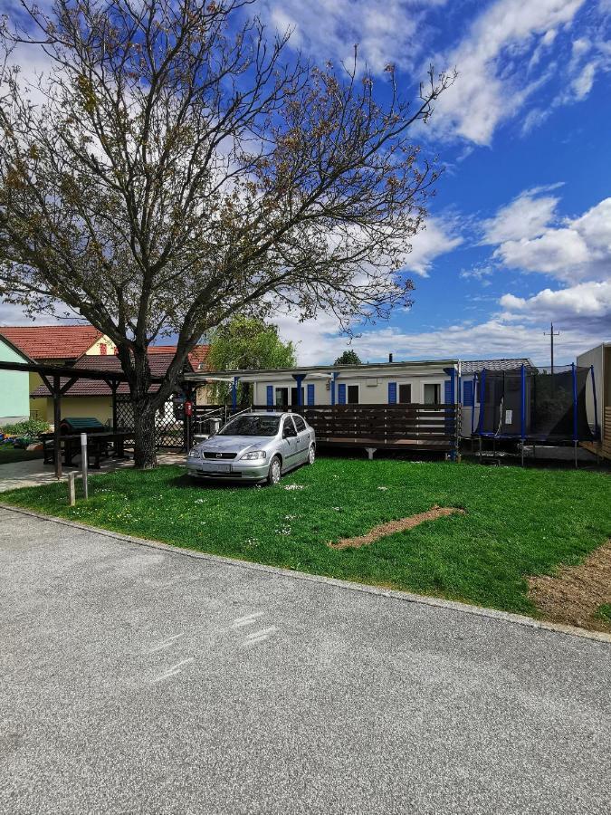 Guesthouse Braslovce - Celje Екстер'єр фото