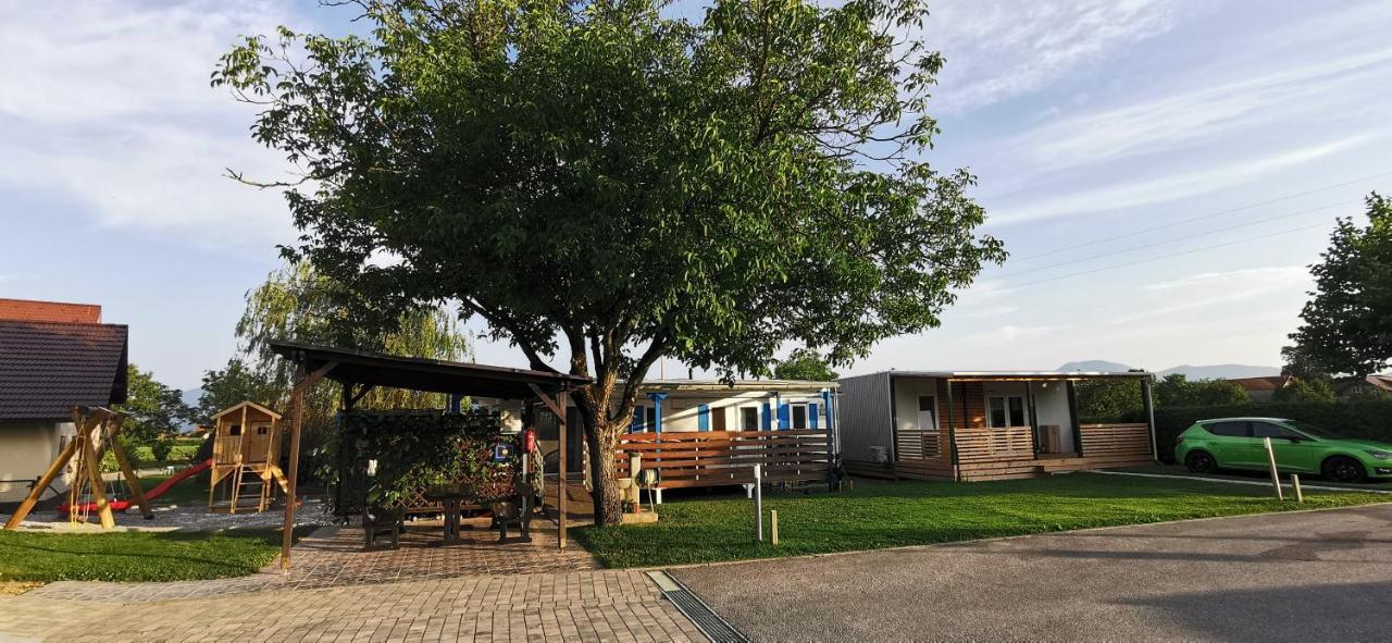 Guesthouse Braslovce - Celje Екстер'єр фото